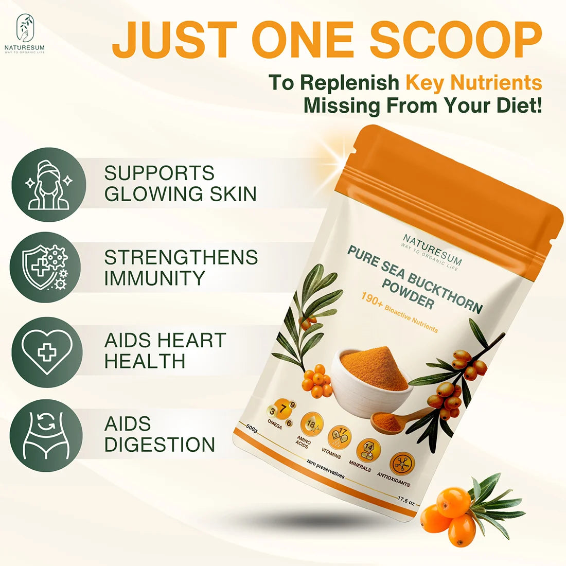NATURESUM HIMALAYAN SEA BUCKTHORN BERRIES POWDER
