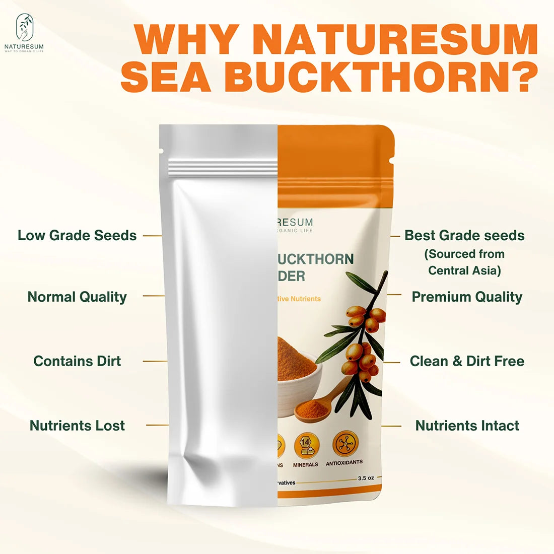 NATURESUM HIMALAYAN SEA BUCKTHORN BERRIES POWDER