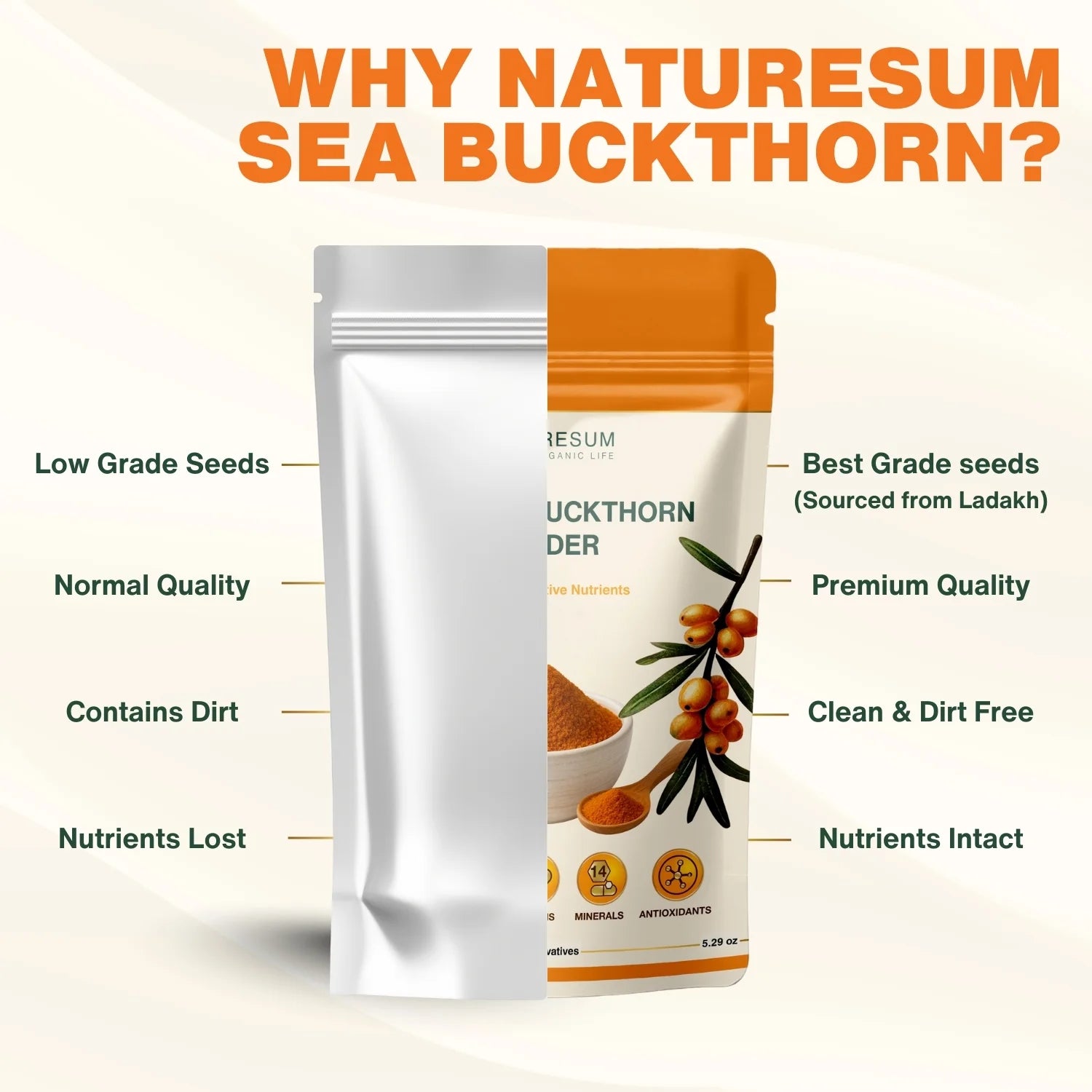 sea buckthorn powder uses