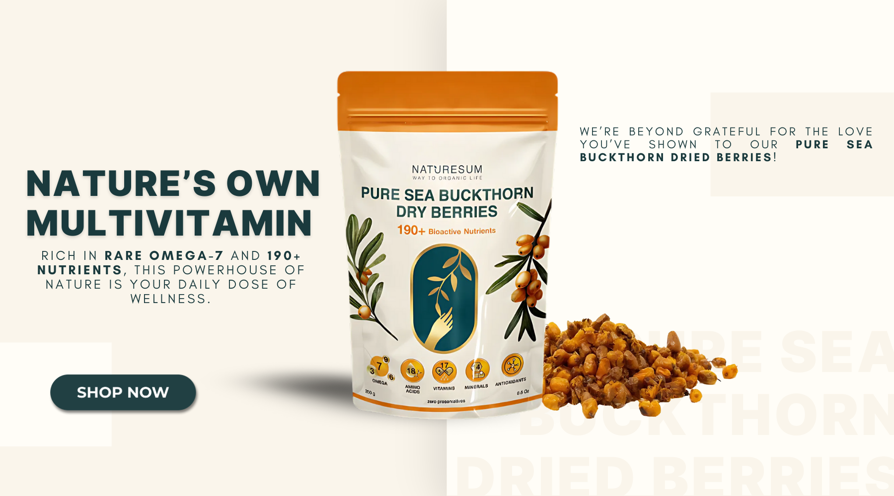 sea buckthorn dry berries