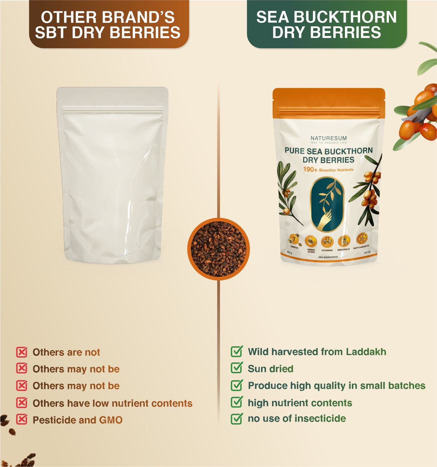 comparison of sea buckthorn dry berries