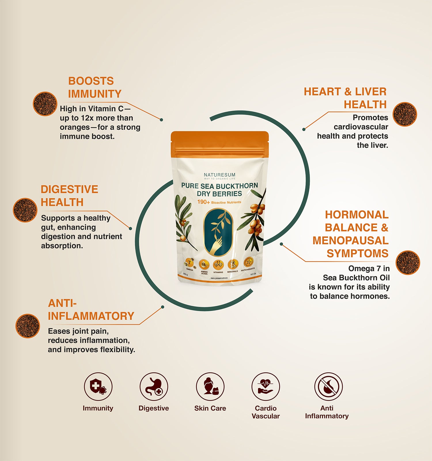 dry berries benefits