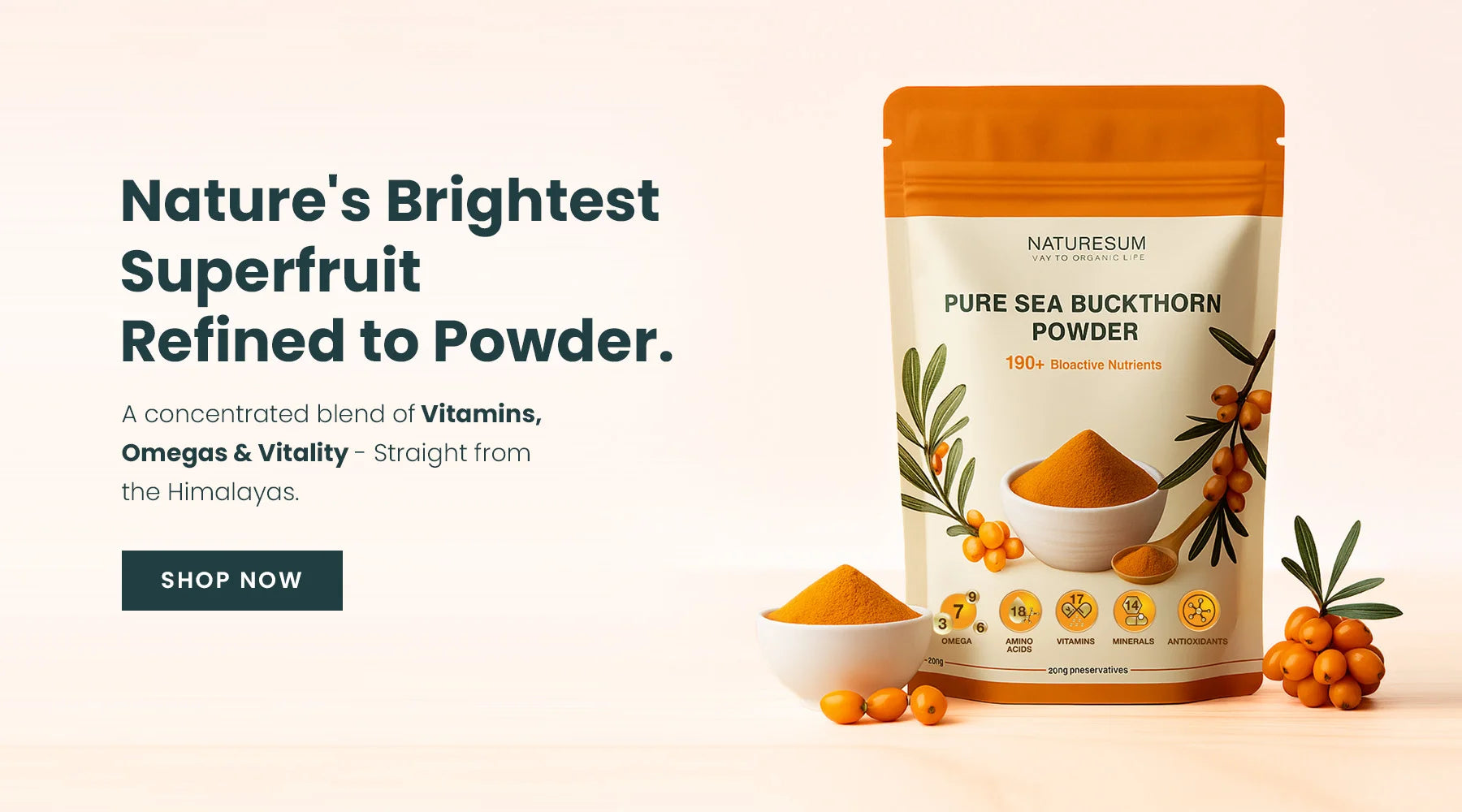 sea buckthorn powder