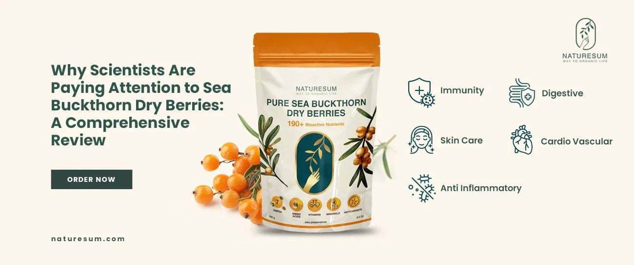 Why Scientists Are Paying Attention to Sea Buckthorn Dry Berries: A Comprehensive Review