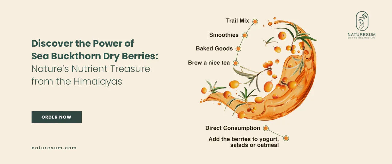Sea Buckthorn Dry Berries