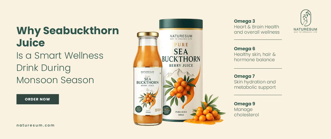 Seabuckthorn Juice - Naturesum