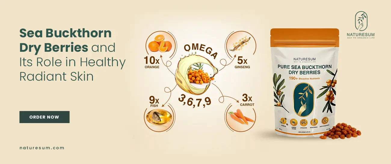 Sea Buckthorn Dry Berries