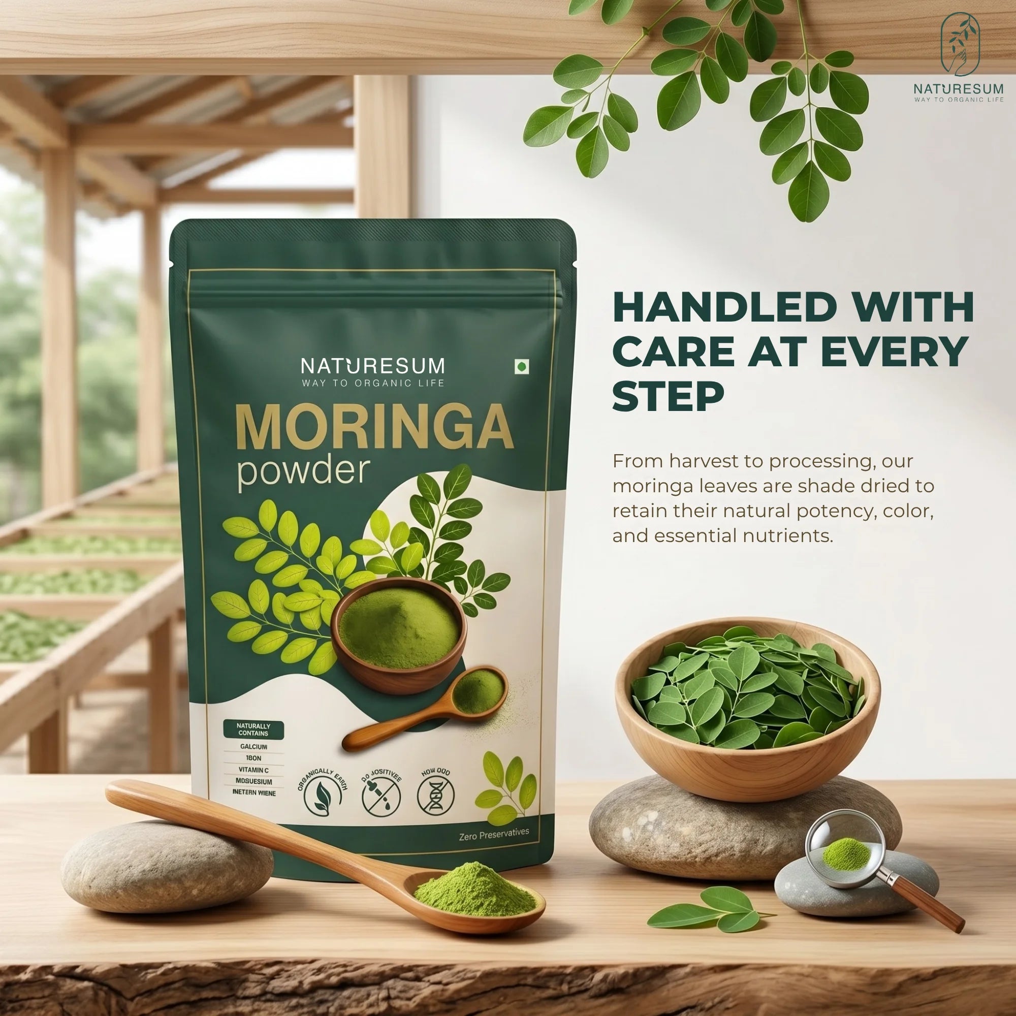 pure moringa powder