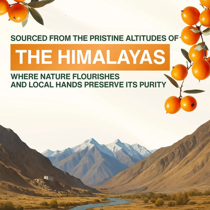 sea buckthorn berry powder benefits
