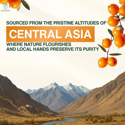 NATURESUM HIMALAYAN SEA BUCKTHORN BERRIES POWDER